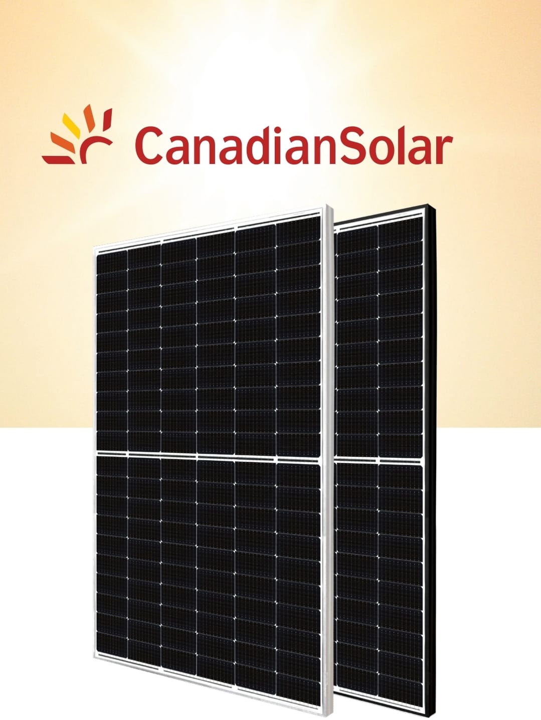 Panou solar fotovoltaic CanadianSolar CS6.2-54TM 505Wp